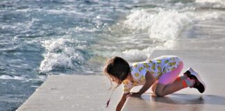Czy w Adriatyku są jeżowce?