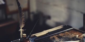 Ile kosztują profesjonalne lotki do darta?