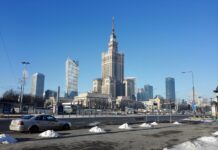 Czy w Polsce jest czarna wdowa? Czy w Polsce jest czarna wdowa?