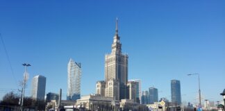 Czy w Polsce jest czarna wdowa?