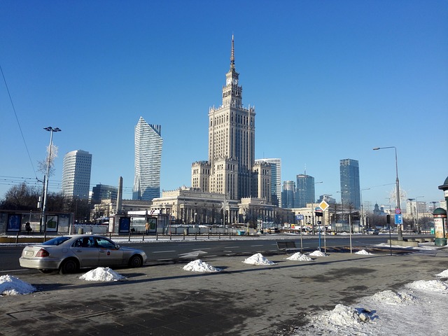 Czy w Polsce jest czarna wdowa? Czy w Polsce jest czarna wdowa?