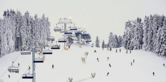 Jak zacząć jeździć na snowboardzie?