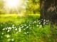 Gdzie jest Dziki Zachód? Gdzie jest Dziki Zachód?